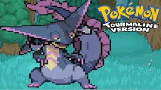 COMO PEGAR O HM FLASH, STRENGHT E MAGNET RISE - POKEMON TOURMALINE | Gameplay em PT-BR #12 (GBA)