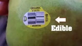 10 Little Known Facts About Fruit Stickers