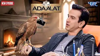KD पाठक की मदत करने के लिए चील खुद पहुँचा सबूत लेकर | Adaalat | New Episode 2026