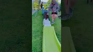 Einfaches Hundetraining f&uuml;r Anf&auml;nger 🐶 | So startest du richtig!