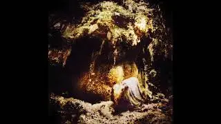 Wolves in the Throne Room - Celestial Lineage (FULL ALBUM)