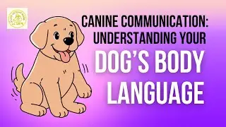 Canine Communication: Understanding Your Dog&rsquo;s Body Language