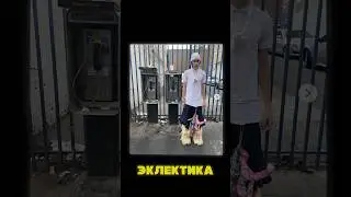Что такое стиль Эклектика?