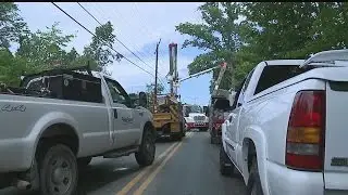 Fallen tree knocks out power lines in Mahoning Township