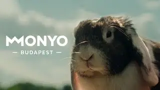 Monyo Craft Beer Commercial│Free Fall Productions