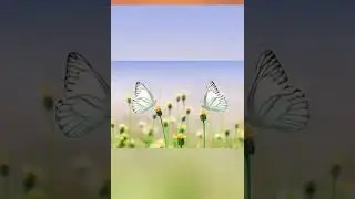 15 second short first video