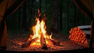 Night Campfire Sounds 🔥 Deep Crackling Fire & Crickets for Sleep Ambience