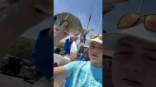 &Pi;&omicron;&lambda;&lambda;ά &lambda;&iota;&tau;&sigma;&omicron;&mu;&epsilon;&lambda;&alpha;&nu;&omicron;&upsilon;&rho;&alpha; &sigma;&epsilon; &tau;&epsilon;&chi;&nu;&eta;&tau;ά |The Aqua Hunter