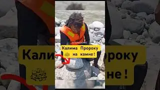 Камни Произносят Калиму нашему Пророку ﷺ! #shotrs