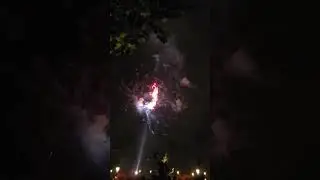 epcot forever fireworks display at disneyworld #disneyworld #disney #fireworks #epcot #epcotforever