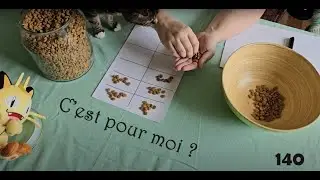EBBH D&eacute;compte Croquettes Elodie