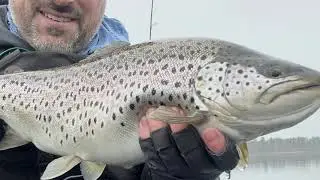 Big Trout from the Kayak