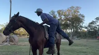 Pt. 3 