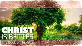 Christ Is Better! - Jesus is the Perfect High Priest II - 1 24 21 - LifeSpring Community Church