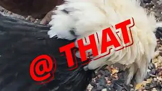 @ THAT prod. rjthebandit