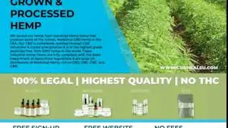 FREE CBD Oil Business Opportunity -CTFO Powerhouse Team