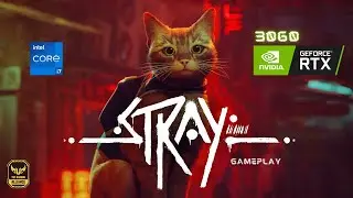 STRAY - Gameplay in RTX 3060 + i7 12th Gen in Ultra Settings | ASUS TUF F 15 ( 2022 )