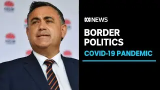 NSW Deputy Premier brands WA's hard border as 'pointless' following COVID-19 case | ABC News