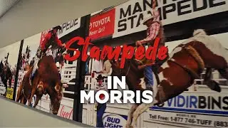The Reason You'll Love The Morris Stampede