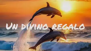 Un divino regalo. Música reggae. Original. Feliz Navidad 🎄