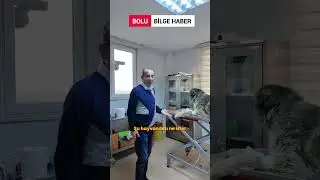 Bolu Belediye Başkanı Tanju &Ouml;zcan'ın hayvan sevgisi