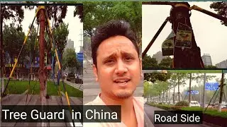 🌲 💂 Tree guard in china  #Treeguard #treeguardinroadside #china #treeguardinchina