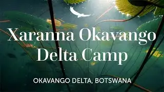 Xaranna Okavango Delta Camp | Botswana