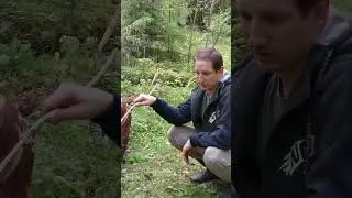 Жарим или Печём?