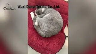 Warm thick Wine red pet mat