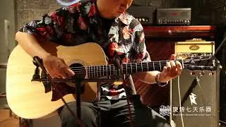 Acoustic Guitar Taylor 210CE Rosewood