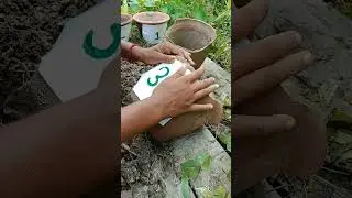 leaf munchers