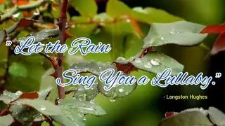 Nature's Lullabies : Relaxing And Calming Sound of Rain | Thunderstorm | Acoustic Space