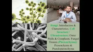 MYCOLOGY. INTRODUCTION AND CHARACTERISTICS OF FUNGAI