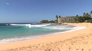 Ocean Safety confirm &lsquo;aggressive&rsquo; shark sighting at Makaha beach
