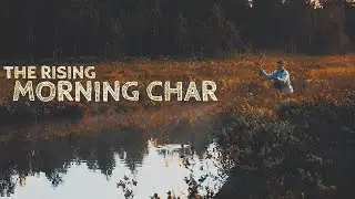The rising morning char (flyfishing)  | En morgonpigg röding (flugfiske)