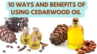 10 WAYS AND BENEFITS OF USING CEDARWOOD OIL