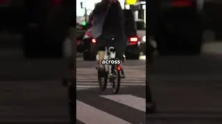 AI in Traffic Safety: Protecting Pedestrians with Smart