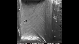 Biorevolution Spider silk composite as a bulletproof material