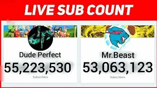 Dude Perfect & Mr.Beast Live Sub Count ( SPEED RUNNING TO 60 MILLION! )