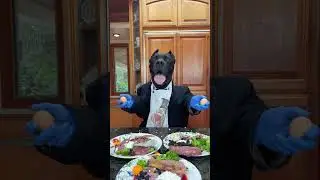Come eat with us?! 🤗 Our dog's favorite raw dinner by @@We Feed Raw🥩 All of our dogs & fosters ar