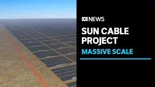 Mike Cannon-Brookes' Sun Cable plan unprecedented and frought | ABC News