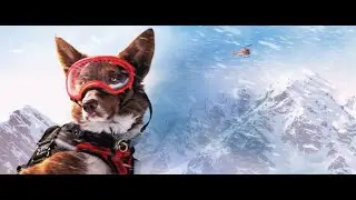 Superpower Dogs