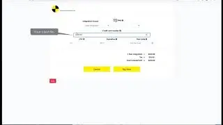 Crashzone - How to pay integration