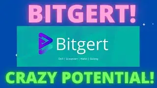 ОБНОВЛЕНИЕ BITGERT! У Bitgert безумный потенциал! Безумная экосистема!