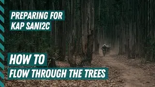How To Flow Through The Trees