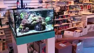 Best Salt For Reef Tanks