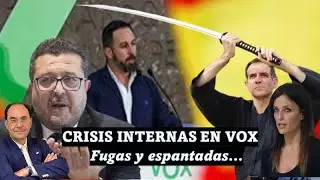 Crisis internas en Vox: Fugas y espantadas (2014-2022)