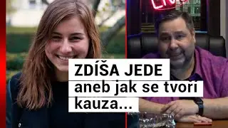 ZDÍŠA JEDE aneb jak se tvoří kauza...