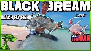 Beach Fly Fishing!