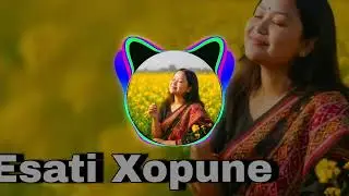 Esatsi Xopune / Assamese dj mix 4k